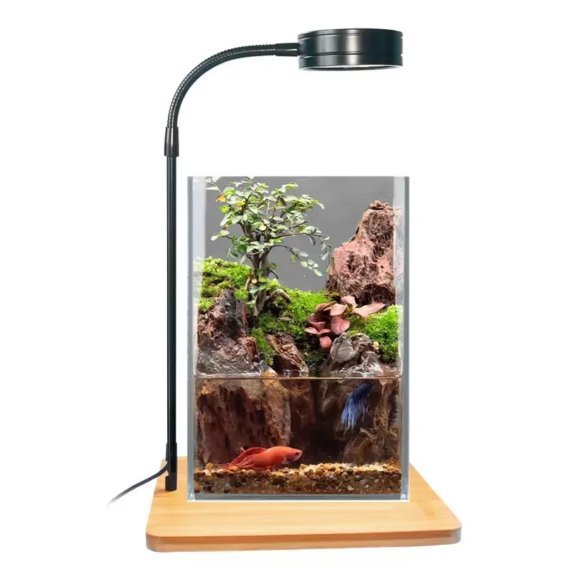 Desktop Decoration Timing Fish - đánh giá và giá Planted Aquarium Hours