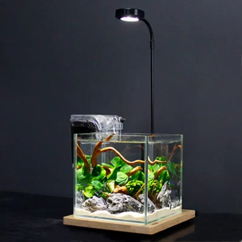 Desktop Decoration Timing Fish - đánh giá và giá Planted Aquarium Hours