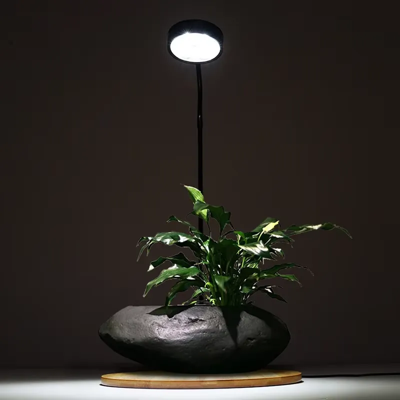 Desktop Decoration Timing Fish - đánh giá và giá Planted Aquarium Hours