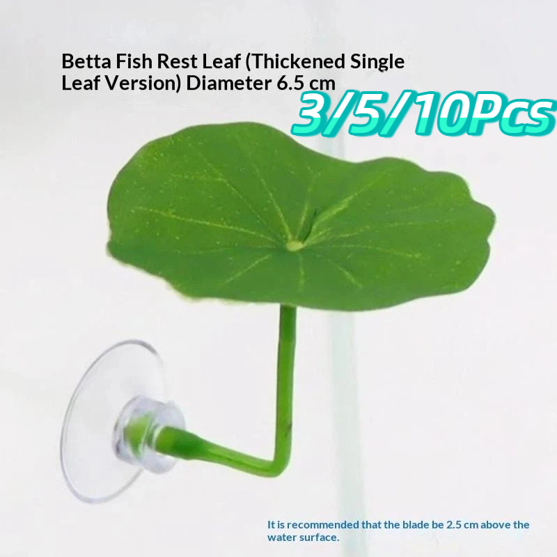 3/5/10 PCS Plastic Betta Rest  - đánh giá và giá Planted Aquarium Betta