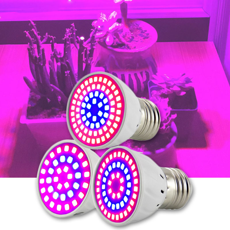 2/3 Đầu LED Cây Phát Triển Ánh - đánh giá và giá Aquarium Plant Root Tabs