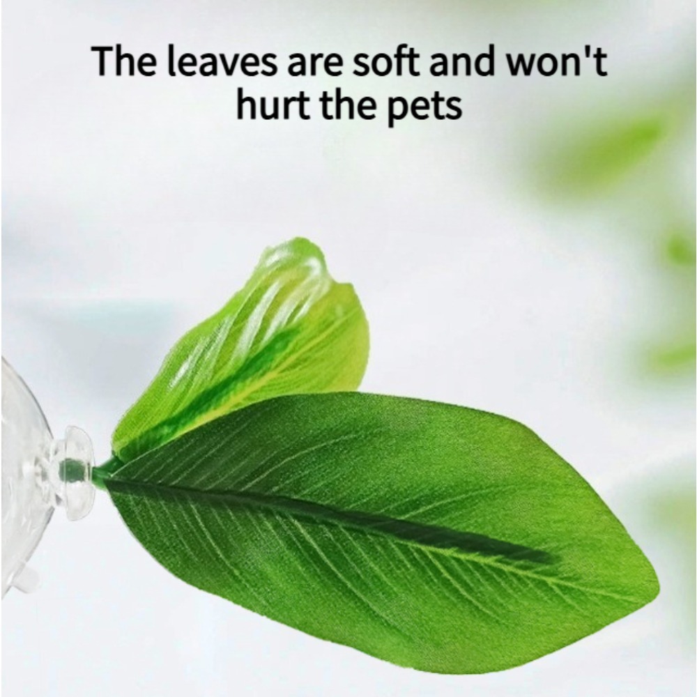 1PCS Green Leaf Betta Fish Ham - đánh giá và giá Planted Aquarium Betta