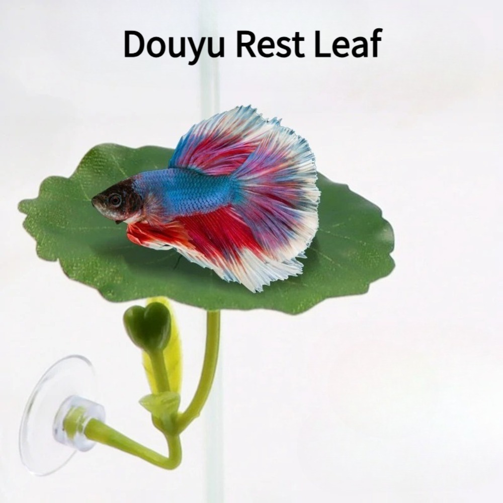 1PCS Green Leaf Betta Fish Ham - đánh giá và giá Planted Aquarium Betta