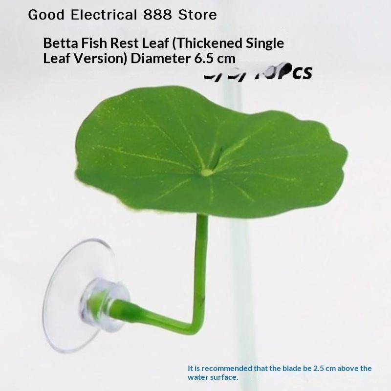【G】3/5/10 PCS Plastic Betta Re - đánh giá và giá Planted Aquarium Betta