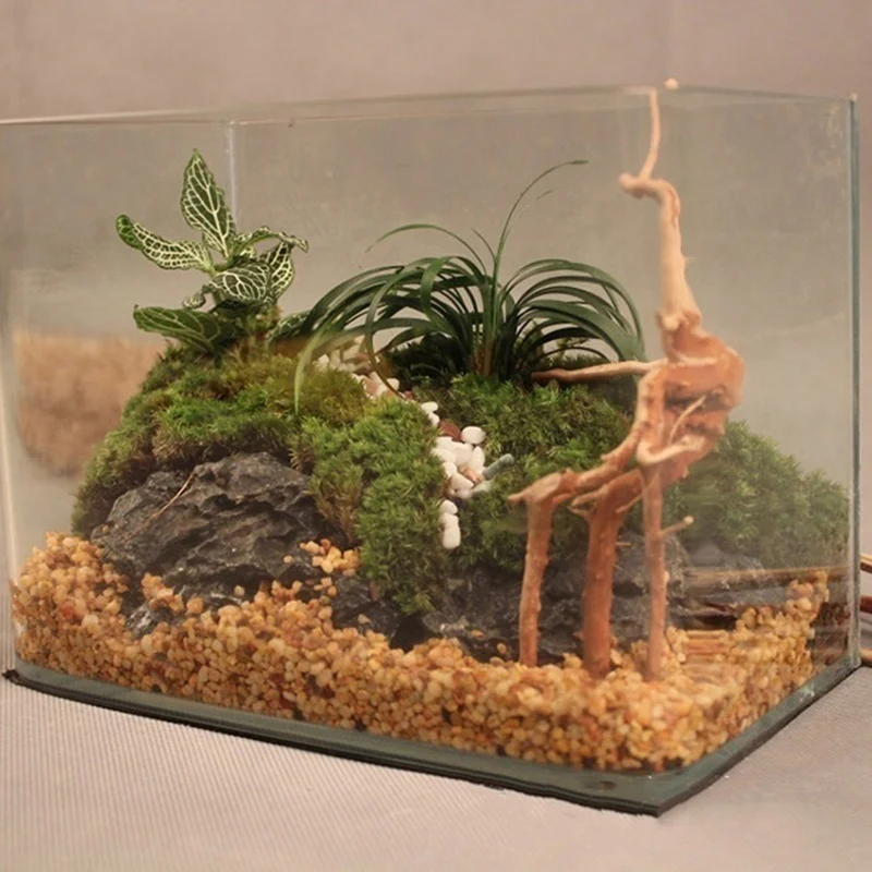 Natural Tree Trunk Driftwood A - đánh giá và giá Aquarium Plant Root Tabs