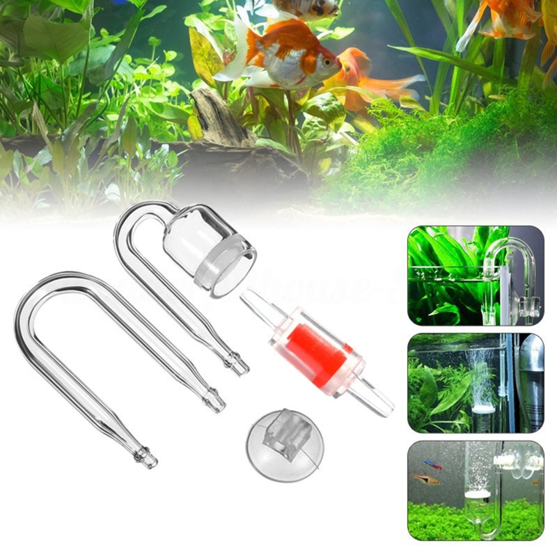 4pcs Set DIY CO2 Diffuser For  - đánh giá và giá Aquarium Plant Delivery