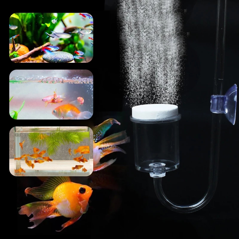 4pcs Set DIY CO2 Diffuser For  - đánh giá và giá Aquarium Plant Delivery