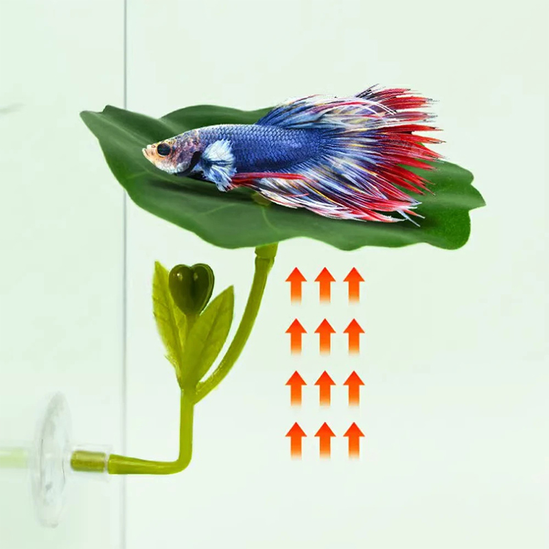 1 Pc For Betta Fish Stress-Red - đánh giá và giá Planted Aquarium Betta